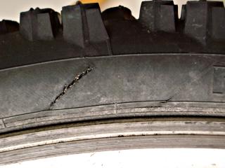 torntyre3.jpg