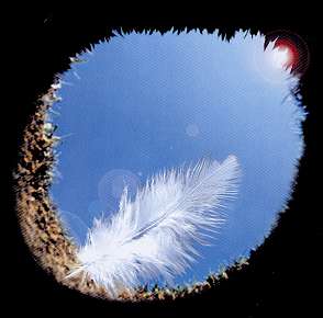 ������ ������� - �����������